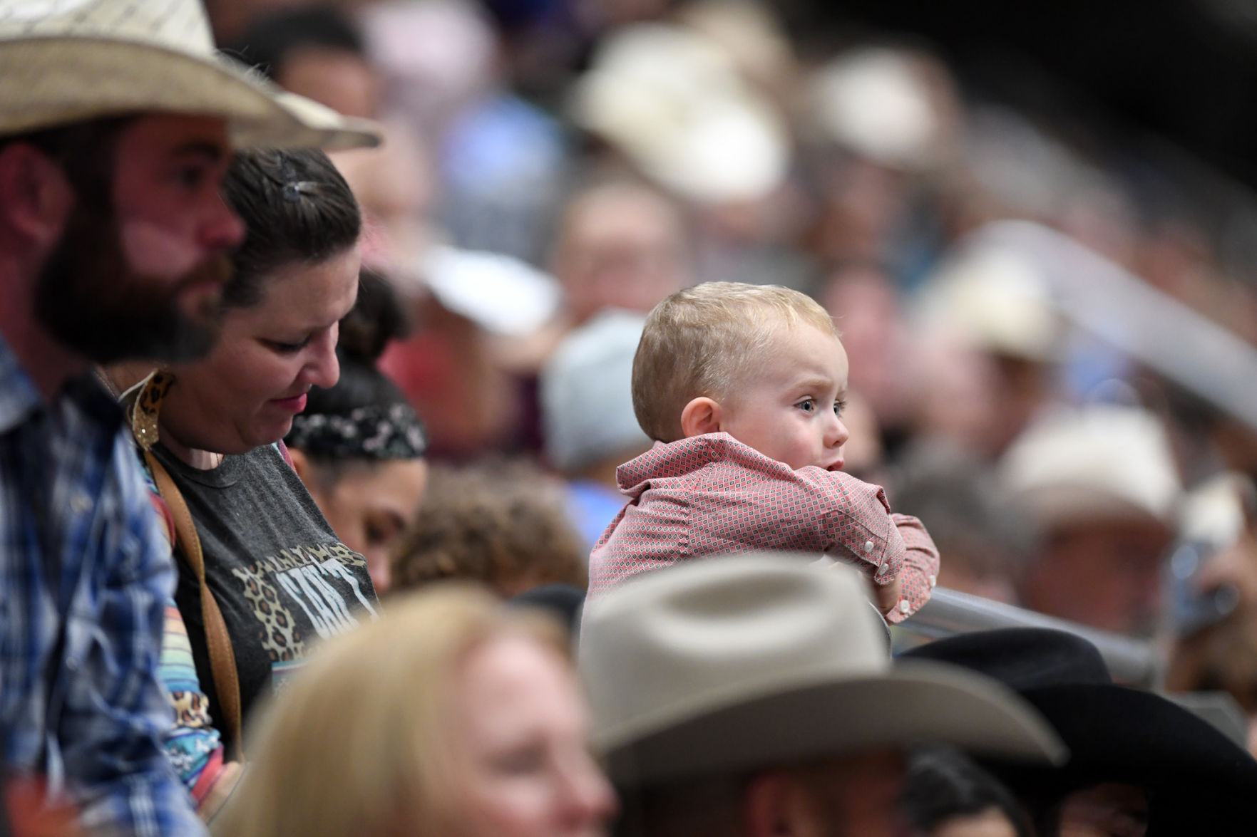 Brazos Valley Fair and Rodeo